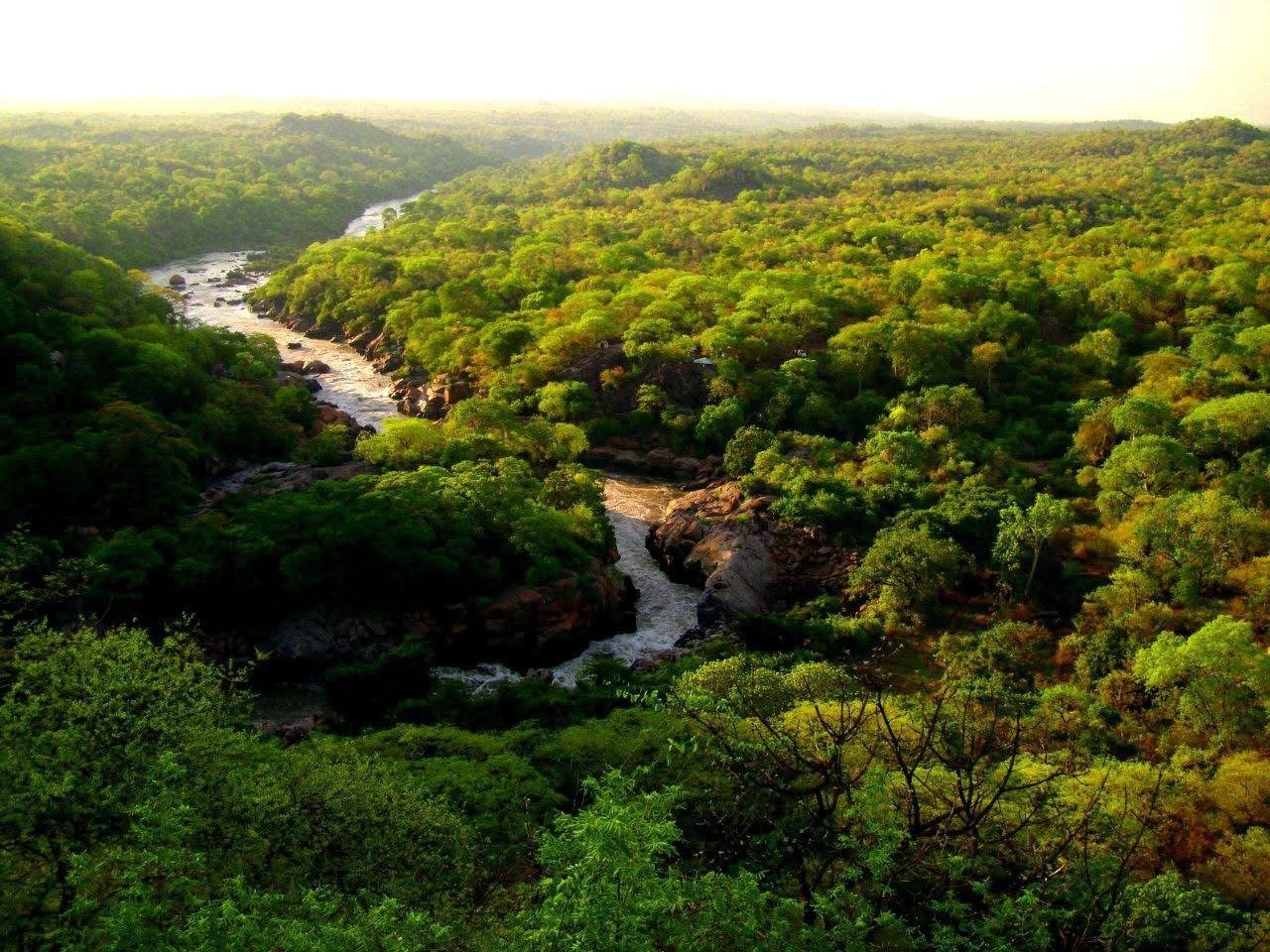 Mpatamanga Wildlife Ranch